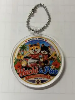 癒しのさるぞうファミリー！ハチ＆プー！キーホルダー