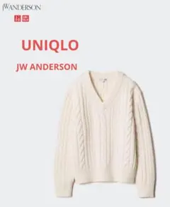 UNIQLO/JWANDERSON/L♥️１回のみ使用/ケーブルVネックセーター