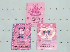 期限切れ パルパルーザ ミニーのファンダーランド リゾートライン フリーキップ