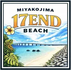 Item thumbnail for item 16d963c9-c654-4611-9df3-fcb10dda9c48