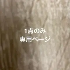 専用　1点のみ