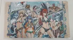 FAIRYTAIL フェアリーテイルB2タペストリー2点セット 2014年発売 FAIRYTAIL フェアリーテイルB2タペストリー2点セット 2014年発売