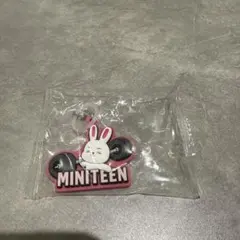 ミニティーン ガチャ めじるしアクセサリー エスクプス チェチェリー