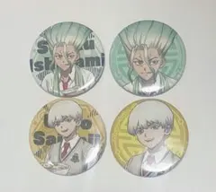 Dr.STONE ドクターストーン SAI 缶バッジ RPG - メルカリ