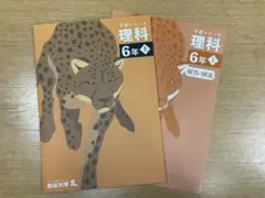 kkkaaatttsss様 リクエスト 2点 まとめ商品