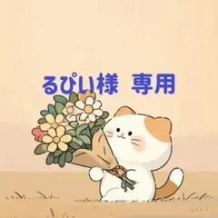 るぴい様　専用(8/31迄)