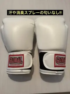 ISAMI ボクシンググローブ 10oz ホワイト BOXERボクシンググローブ 10オンス | すべての商品 | ISAMI(イサミ