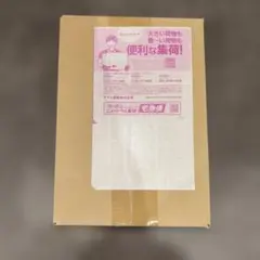 ポケモンカードゲーム MEGAドリームex BOX シュリンク付き