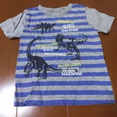 恐竜Tシャツのサムネイル