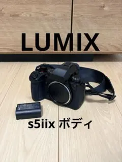 実用品】LUMIX S9 ブラック ボディのみ／元箱・純正ストラップ付