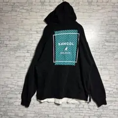 KANGOL ストライプデザイン ブラックパーカー　メンズ　トップス　M 美品