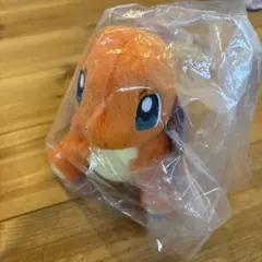 ポケモン ぬいぐるみ ヒトカゲ ポケパークカントー 202607101925