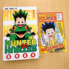 1巻 初版】ハンターハンター冨樫義博 1998年6月9日発行 【レア 希少本