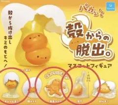 殻からの脱出 3つセット