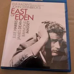 2026年最新】East of Edenの人気アイテム - メルカリ