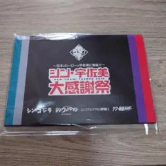 シン・エヴァンゲリオン劇場版他　ポストカードセット