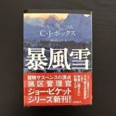 暴風雪