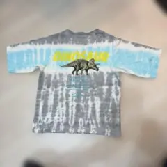 BREEZEダイナソーTシャツ①④のサムネイル