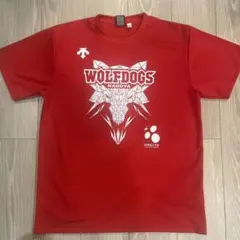 WOLFDOGS NAGOYA CUP 限定Tシャツ WOLFDOGS CUP 2023 Tシャツファッション 通販