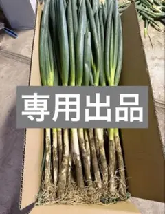 I♡U様 専用出品