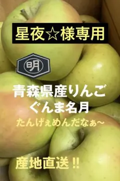 青森県りんご【ぐんま名月】431家庭用3kg 10〜12個入星夜☆様専用