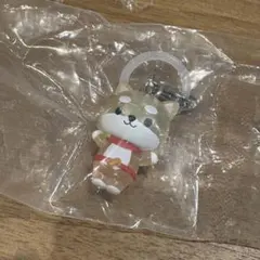 JOCHUM めじるしアクセサリー まめちぃ 豆原一成