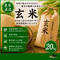 体が大切で暑くても疲れない ７年産コシヒカリ 玄米20㎏ 特別栽培① 無農薬 体が大切で暑くても疲れない 7年産コシヒカリ 玄米20㎏ 特別栽培① 無