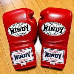 WINDY 10oz ボクシンググローブ