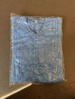 Item thumbnail for item c4e95caf-0ab6-4830-a8ad-e09ddebdd28e