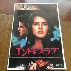 映画チラシ 80年公開 ザナドゥ ミュージカル映画B5版フライヤー 映画チラシ 80年公開 ザナドゥ ミュージカル映画B5版フライヤー - メルカリ