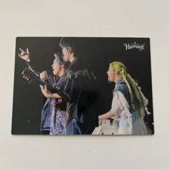 Mrs. GREEN APPLE ミセス Harmony 044 集合 フォトカ