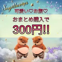 i-1【丁寧】おなか ぷにぷに シール 柴犬 3D 立体シール ステッカー 2枚