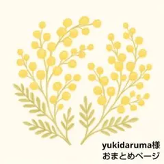 yukidaruma様 リクエスト 4点 まとめ商品