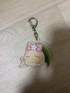 最終値下げ⭐︎あんずまろんさん　キーホルダー