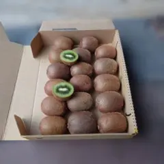 キウイフルーツ。17個、農薬不使用。