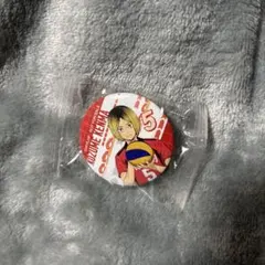 ハイキュー！！　くら寿司　缶バッジ　孤爪研磨