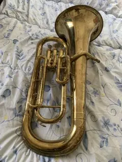 Item thumbnail for item e420604a-5b2d-48e1-8c3e-9991c718ff67