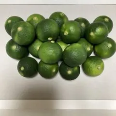 ハウススダチ 家庭用 4キロ - メルカリ