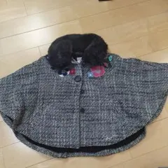 Item thumbnail for item 6028a8d6-3aad-418b-8fac-465d56caa82a