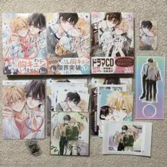 アニメイト特典付　少女マンガなら叶わない恋　１巻２巻３巻　ほわこ　３冊＋他セット