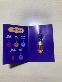 アラジン 劇団四季 シークレットチャーム(ランタン)