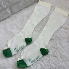 GUNZE グンゼ 医療用弾性ストッキング M