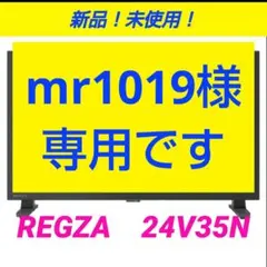 2024年製✨ レグザ 24インチ テレビ ネット動画 24V35N 東芝 美品