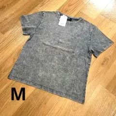 【新品】ALAND　3.3 Field Trip　ピグメントT　グレー　M