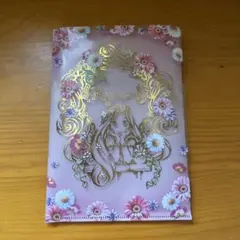 東京ディズニーリゾート ラプンツェル A5サイズクリアファイル