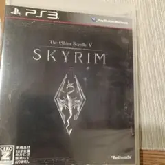 ザ・エルダー・スクロール5:スカイリム