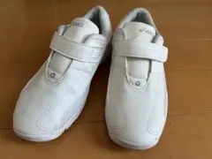 Item thumbnail for item 1ce8dc9f-5e30-4ca0-8361-feecc8bc94a2