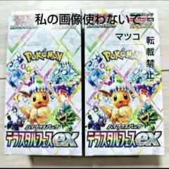 ポケモンカー テラスタルフェスex 2box分