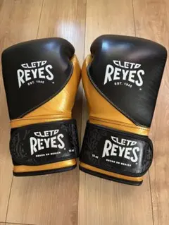CLETO REYES レイジェス ボクシンググローブ 14oz