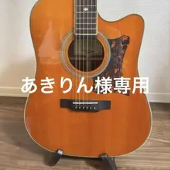 2026年最新】masterbilt epiphoneの人気アイテム - メルカリ